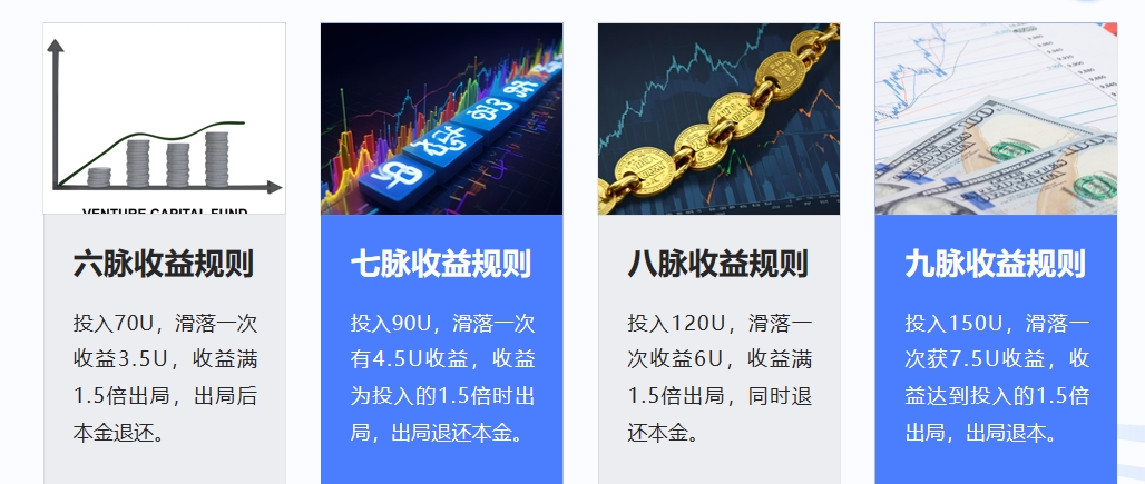 九脉玄章震撼来袭，全网一条线滑落，占位就挣钱，全网首码对接团队长！(5)