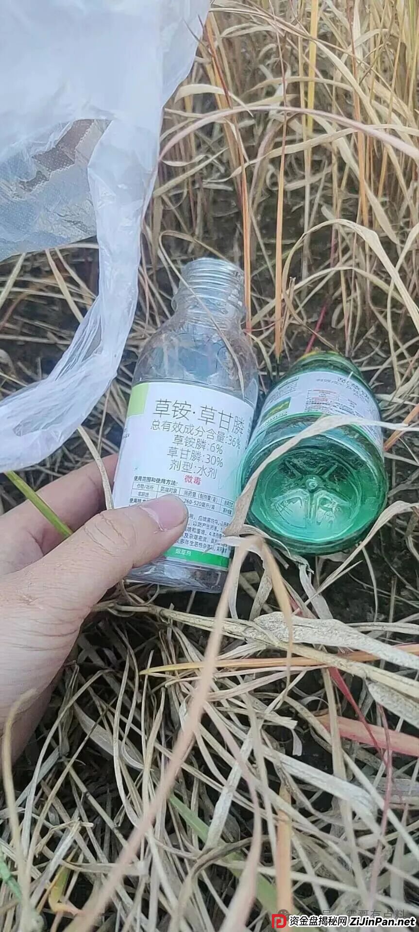盘讯:荣裕合不给会员提现,绝望之下喝农药,现已经住进ICU(2) 盘讯:荣裕合不给会员提现,绝望之下喝农药,现已经住进ICU(2)