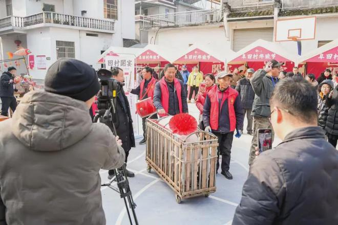 我,30岁,做乡村运营生意,公司年入超7000万元|新春走基层(6) 我,30岁,做乡村运营生意,公司年入超7000万元|新春走基层(6)