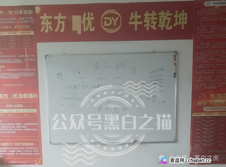 山东团队拉新变慢,项目方KPI定生死|“东方百优”单割倒计时进入最后10天